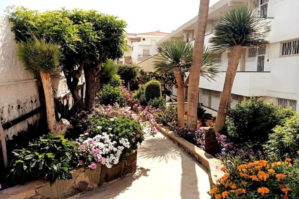 Apartment With Large Terrace, 10 Meters From Playa De Las Burras San Bartolomé 외부 사진